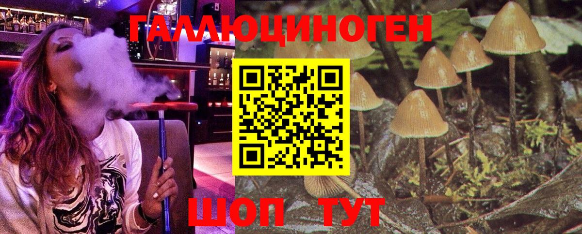 Кудымкар  наркошоп  Вход с VPN  Псилоцибиновые грибы прущие грибы 